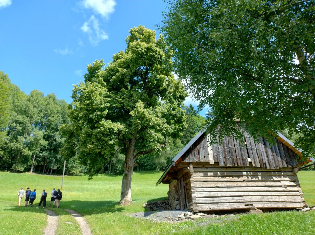 Ilustrační obrázek této události