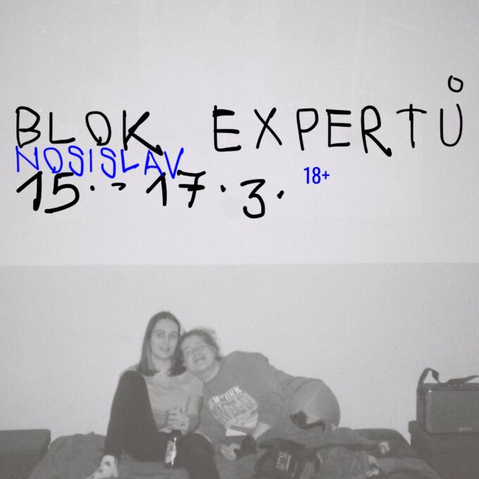 Blok expertů